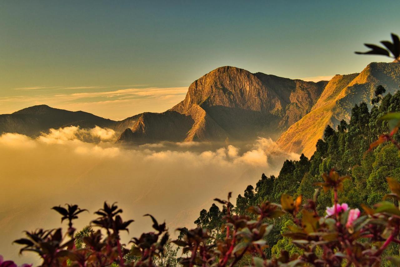 Chandys Drizzle Drops - Munnar Top Station Eksteriør billede